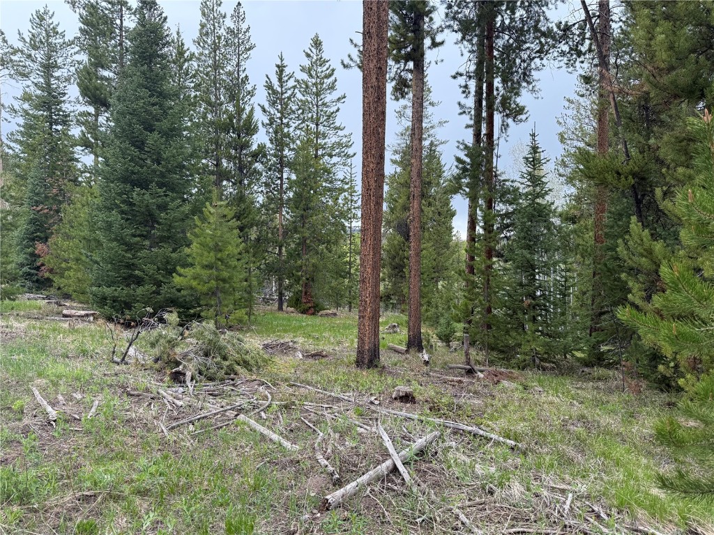 33435 Filly Trail Oak Creek CO 80467