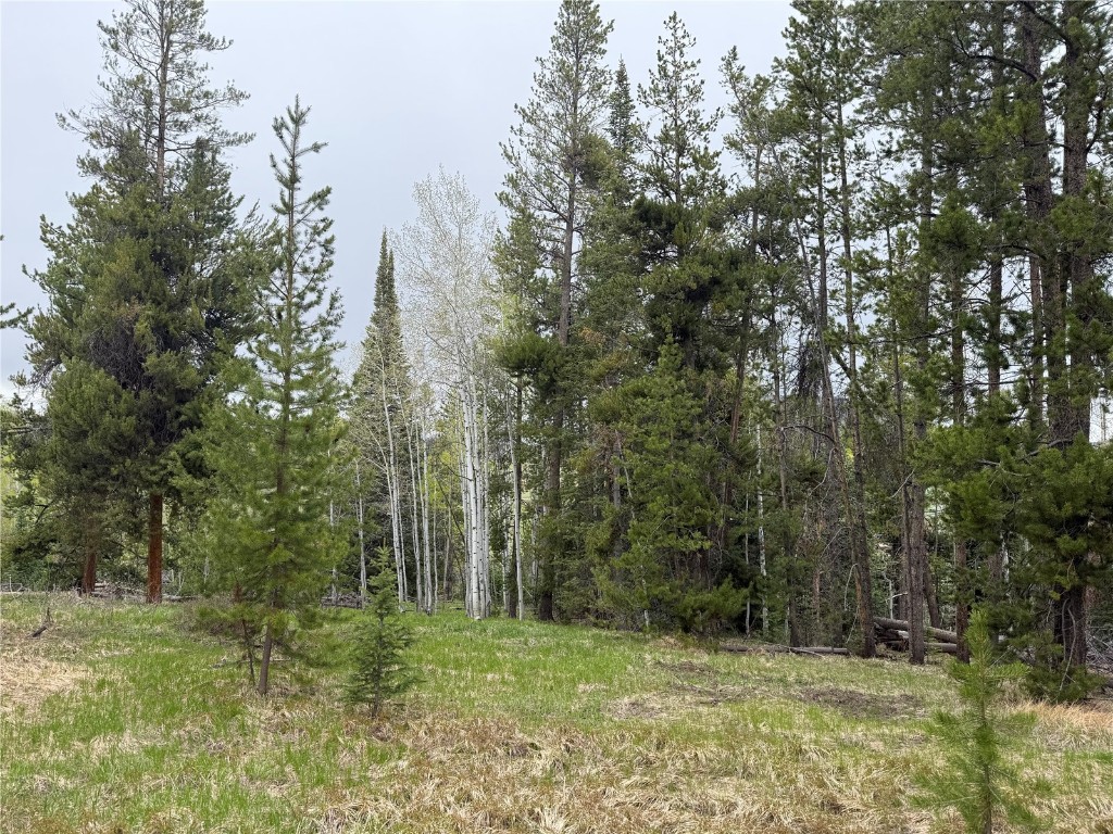 33435 Filly Trail Oak Creek CO 80467