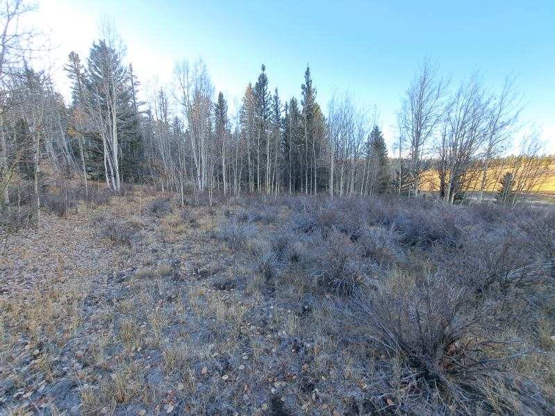 00 Haida Lane Como CO 80432