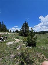 86 Timberline Trail Fairplay CO 80440