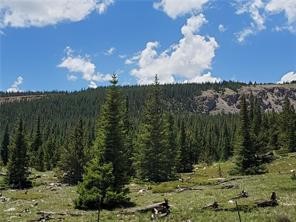 86 Timberline Trail Fairplay CO 80440