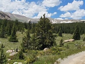 86 Timberline Trail Fairplay CO 80440