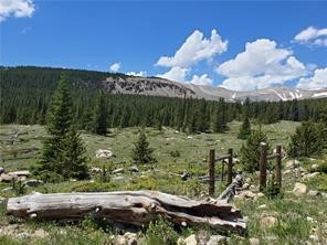 86 Timberline Trail Fairplay CO 80440
