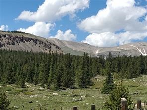 86 Timberline Trail Fairplay CO 80440