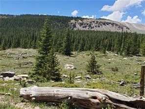 86 Timberline Trail Fairplay CO 80440