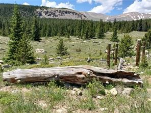 86 Timberline Trail Fairplay CO 80440