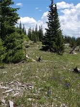 86 Timberline Trail Fairplay CO 80440