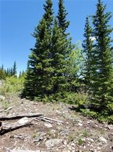 86 Timberline Trail Fairplay CO 80440