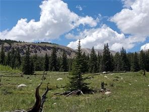86 Timberline Trail Fairplay CO 80440