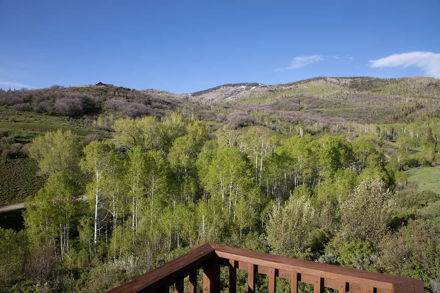 33525 Meadow Creek Drive Steamboat Springs CO 80487