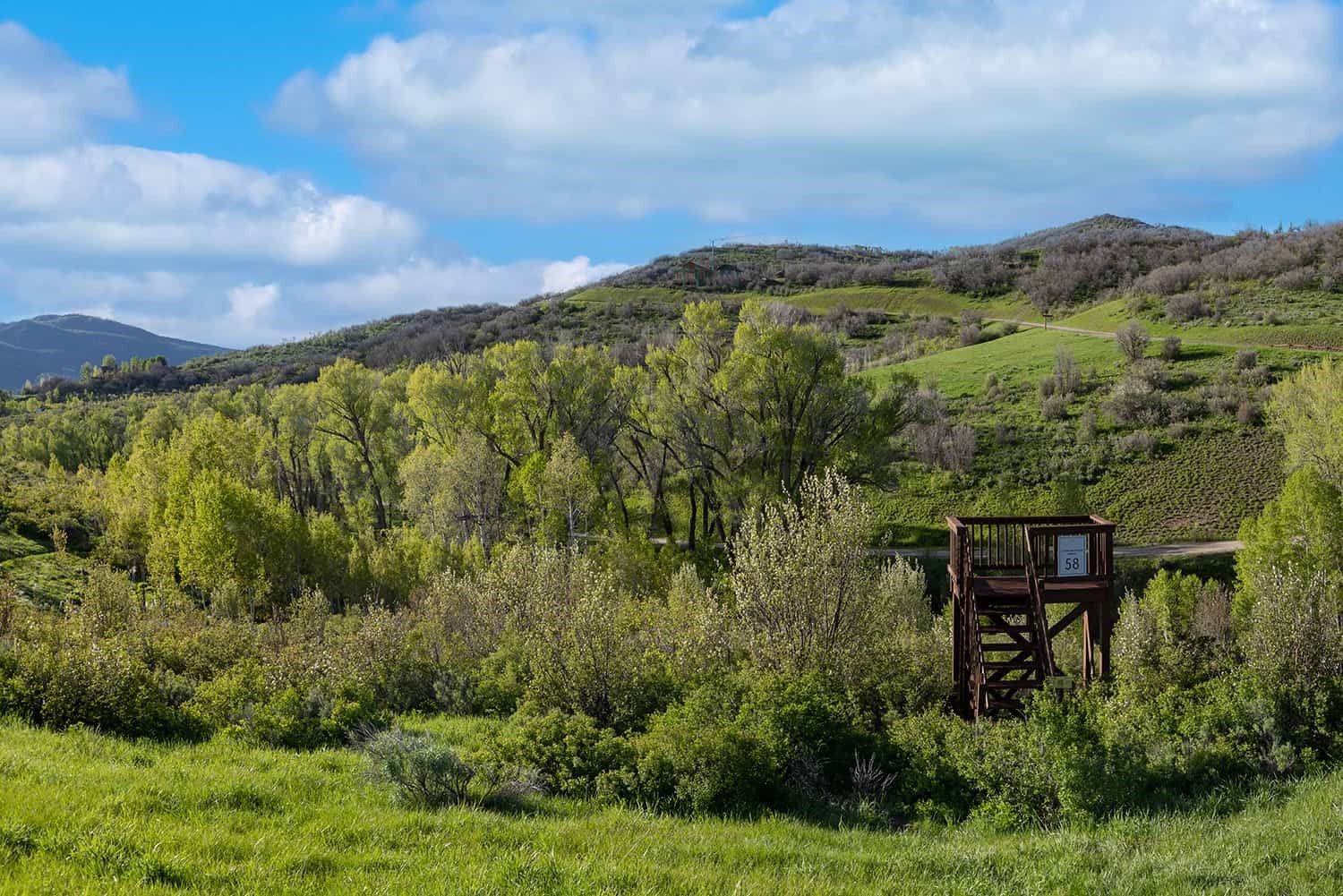 33525 Meadow Creek Drive Steamboat Springs CO 80487