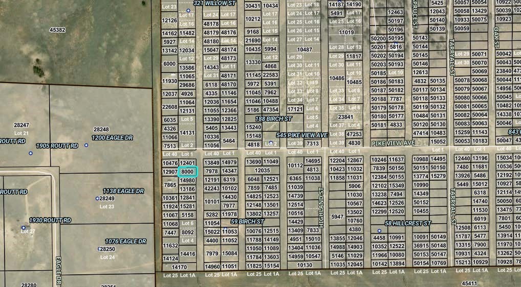 00003 Willow Street Hartsel CO 80449