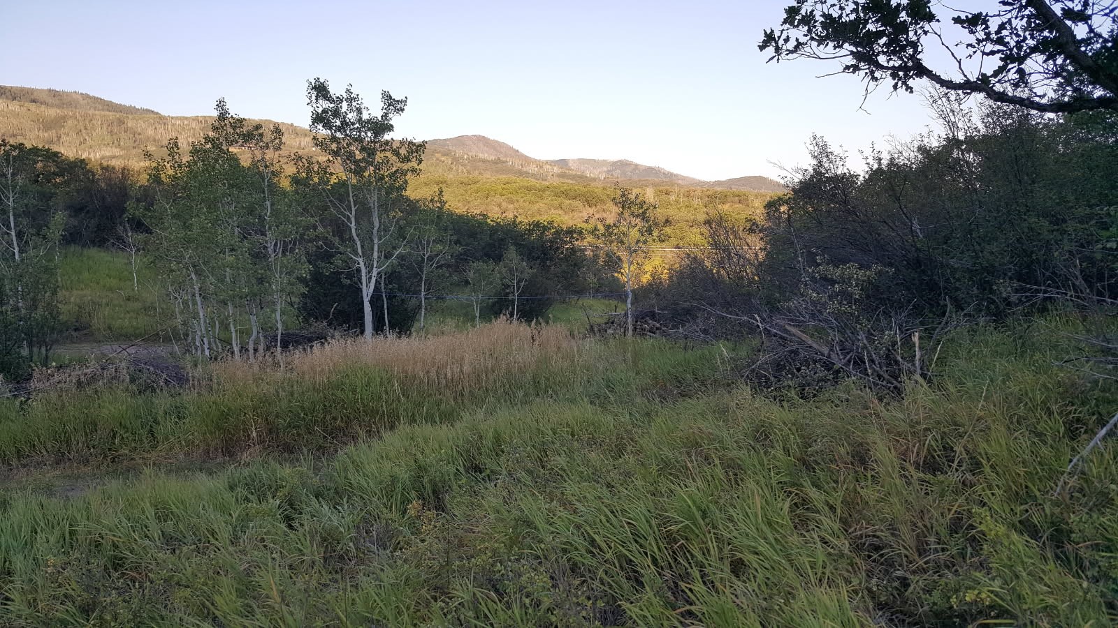 28350 County Road 14 Oak Creek CO 80467