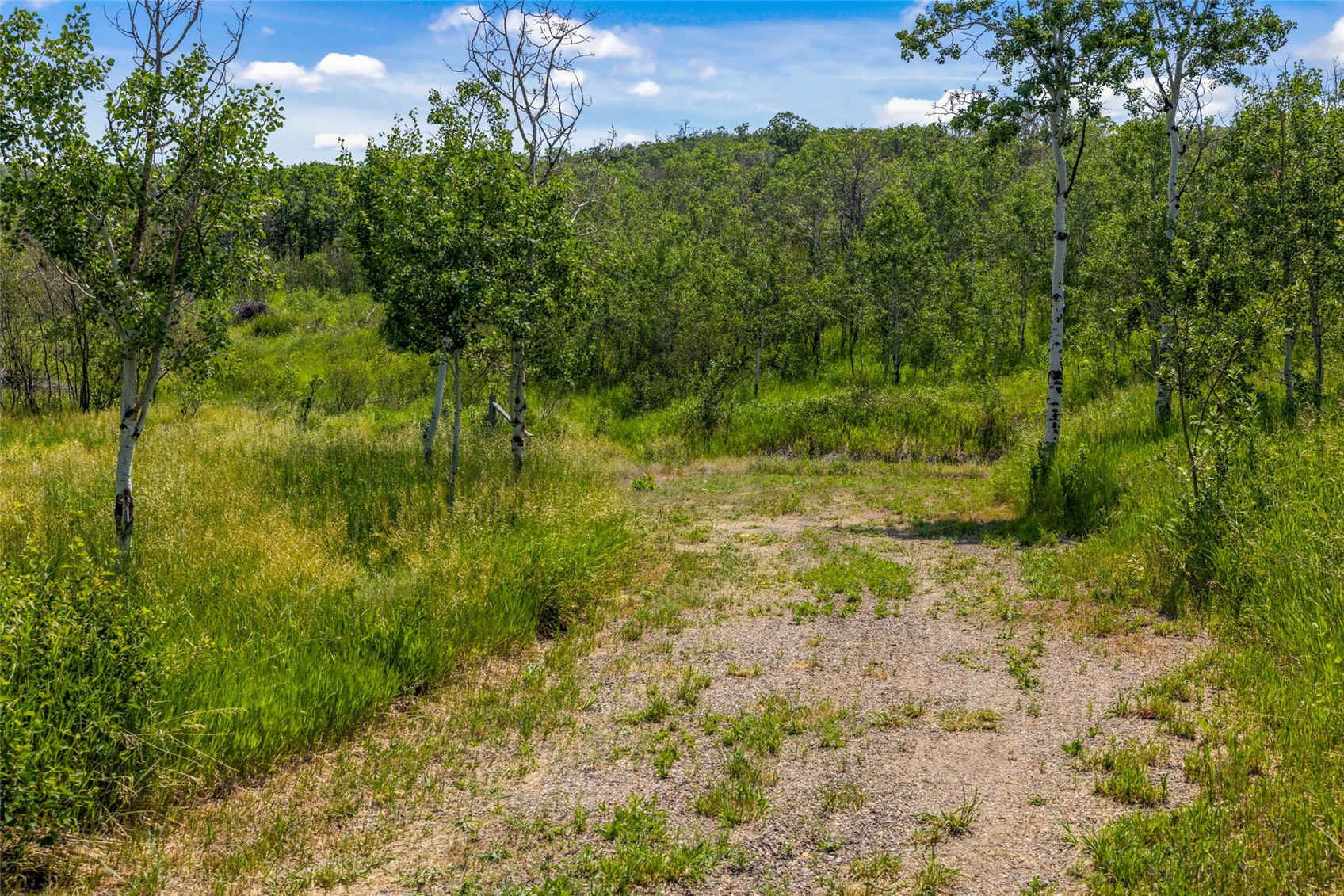 28350 County Road 14 Oak Creek CO 80467