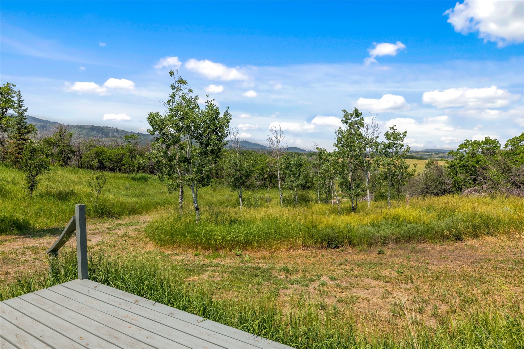 28350 County Road 14 Oak Creek CO 80467
