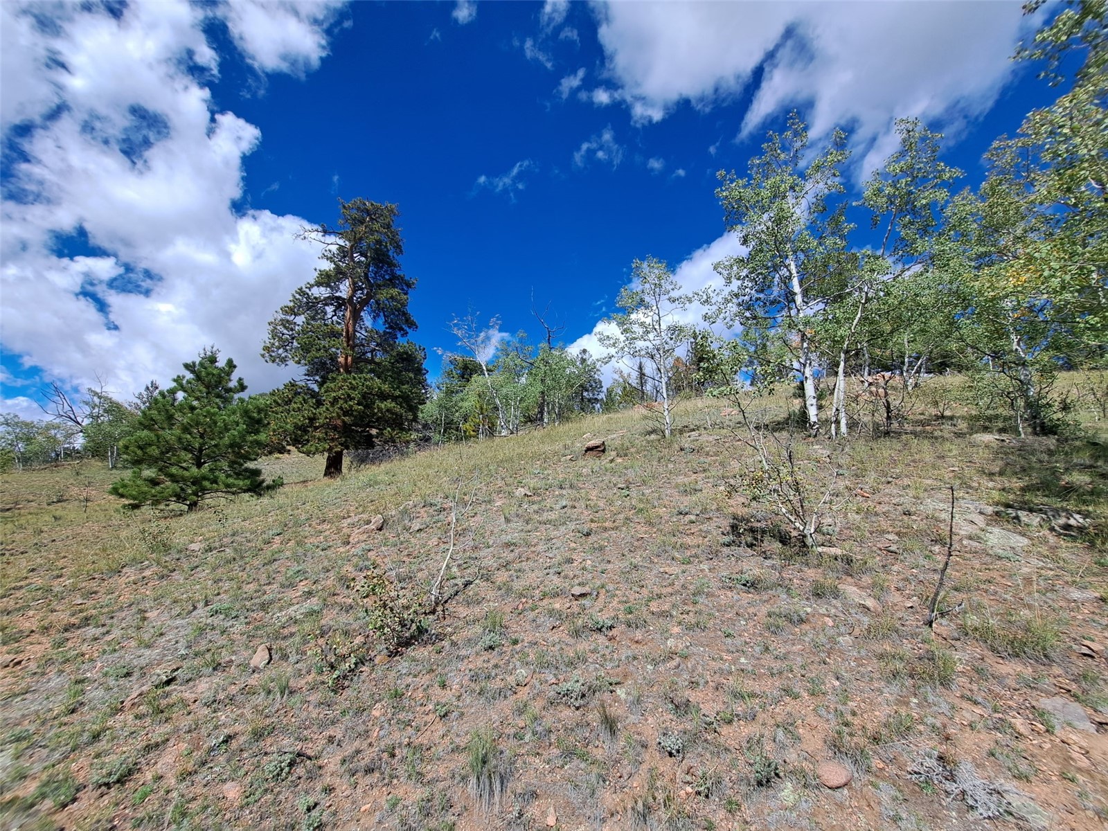 6452 Remington Road Como CO 80432