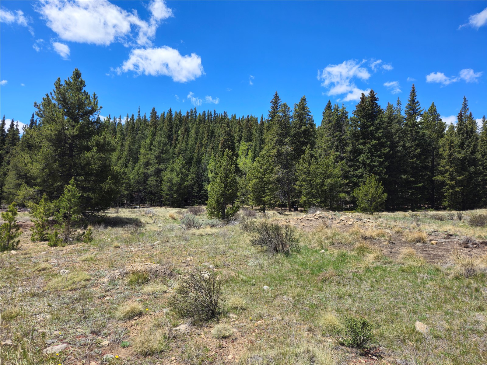 PCS#10594 Looney Lane Alma CO 80420