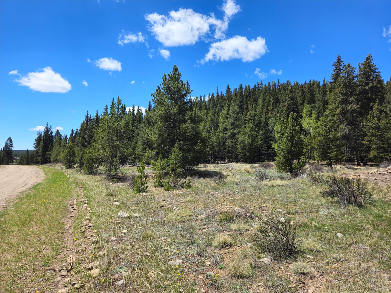 PCS#10594 Looney Lane Alma CO 80420