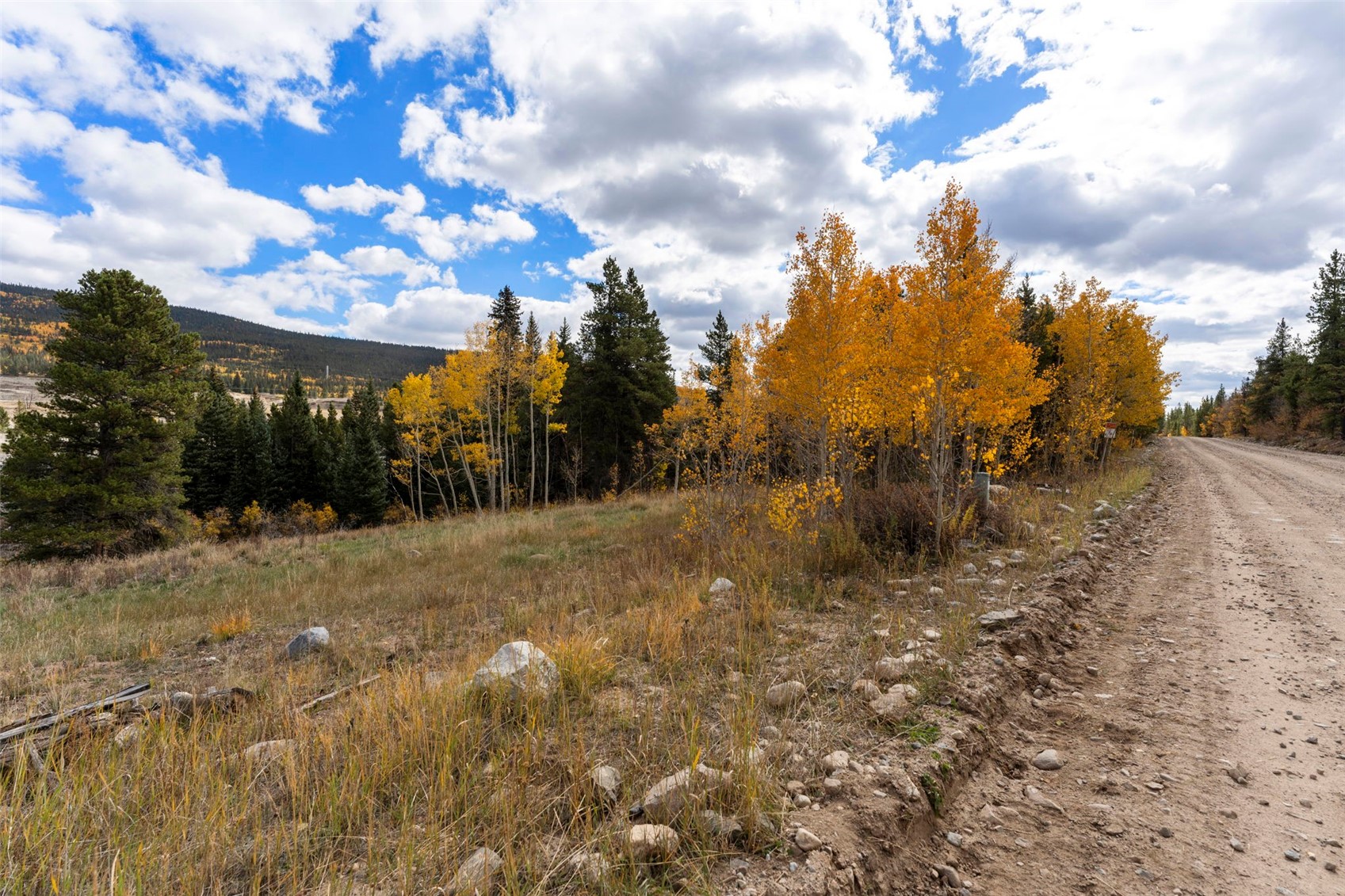 TBD0 19th Alma CO 80420