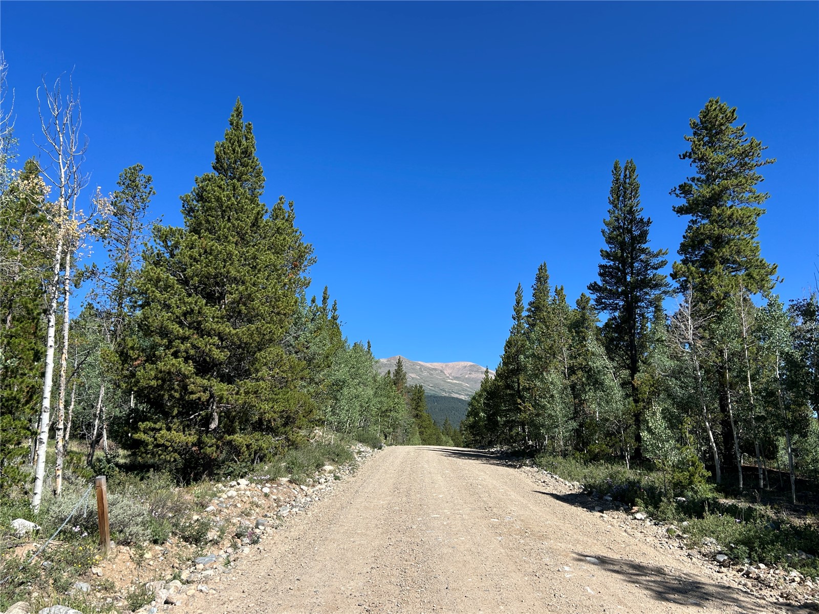 TBD0 19th Alma CO 80420