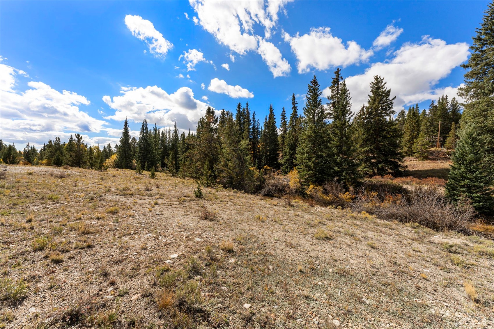 TBD0 19th Alma CO 80420