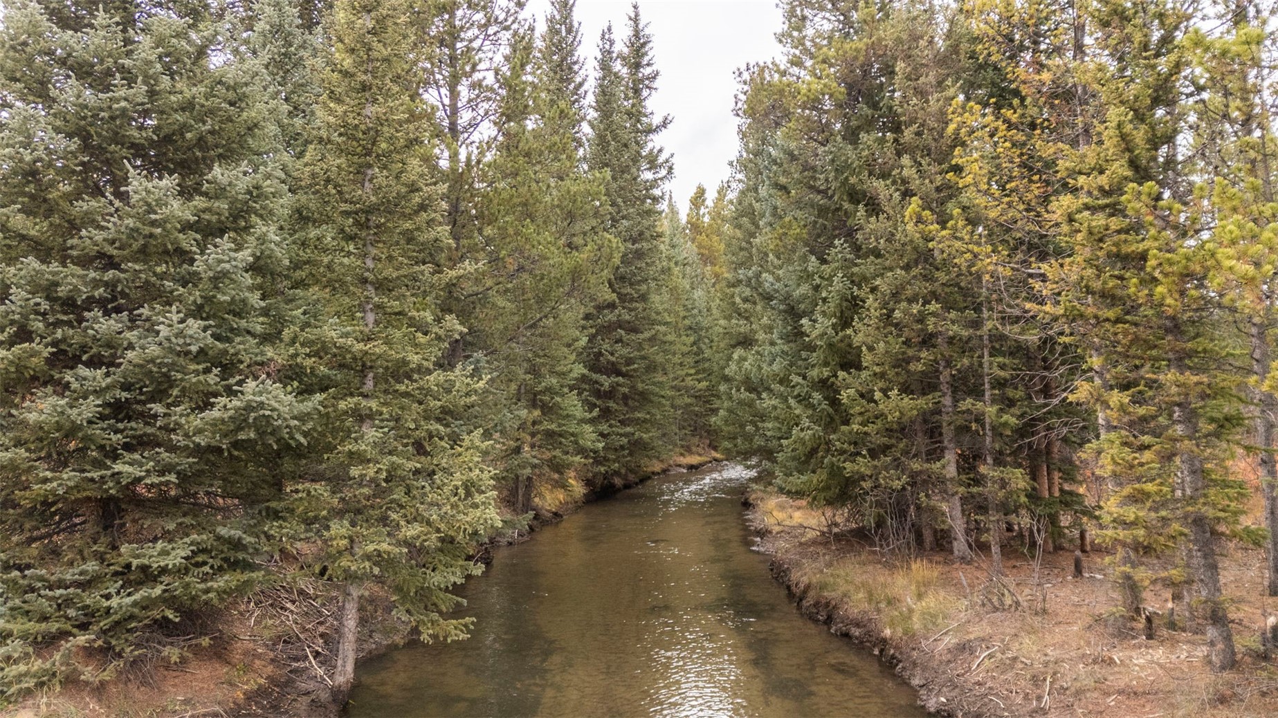TBD0 19th Alma CO 80420
