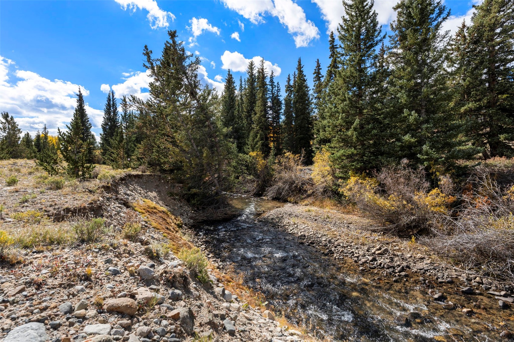 TBD0 19th Alma CO 80420