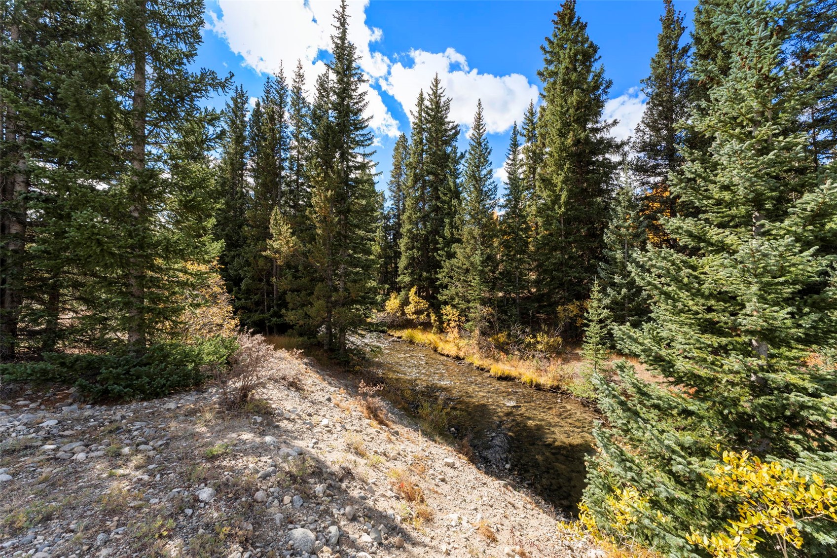 TBD0 19th Alma CO 80420