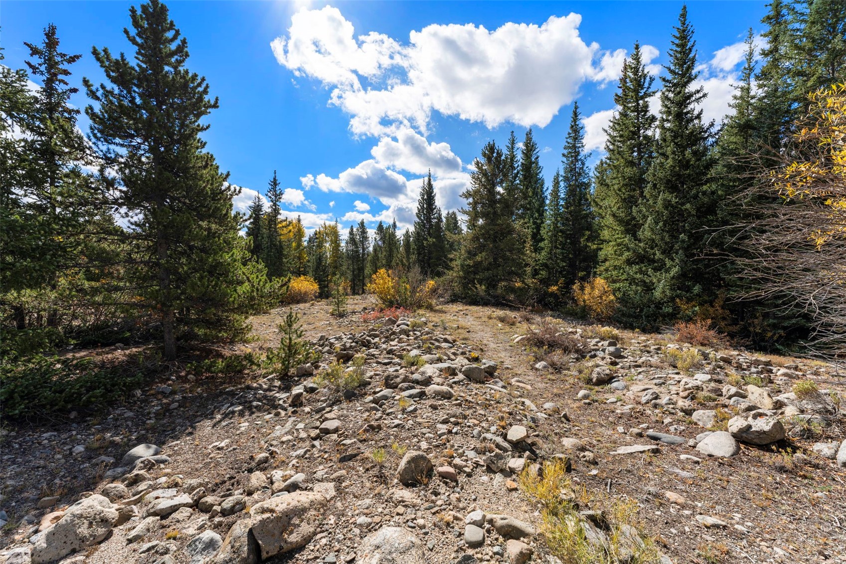 TBD0 19th Alma CO 80420