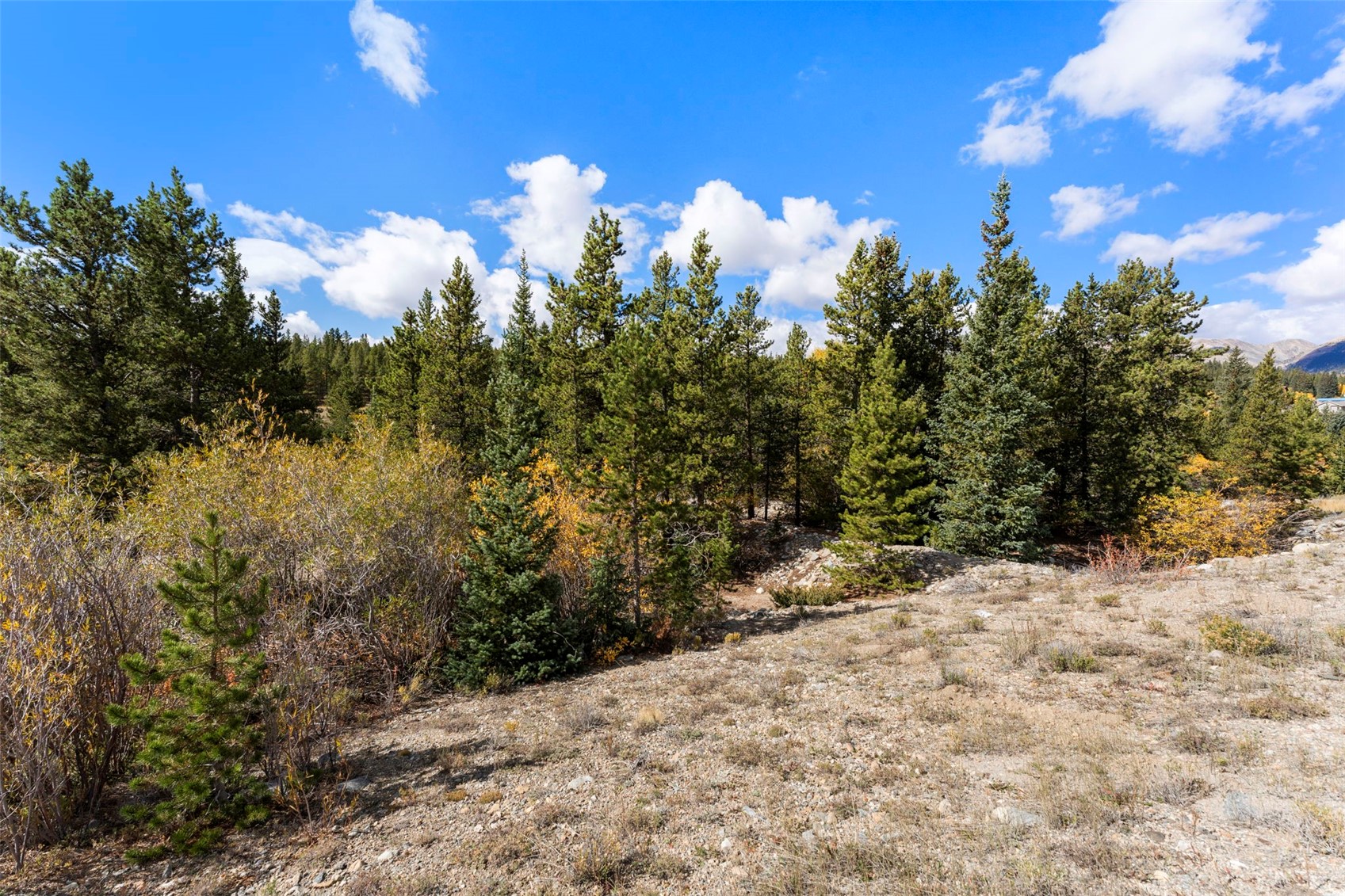 TBD0 19th Alma CO 80420