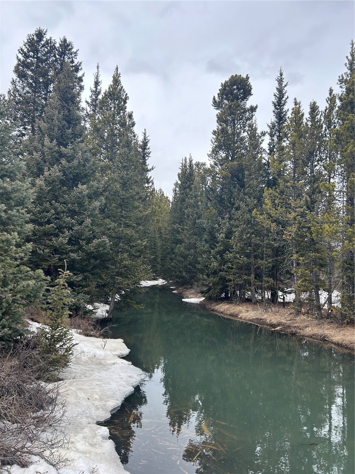 TBD0 19th Alma CO 80420