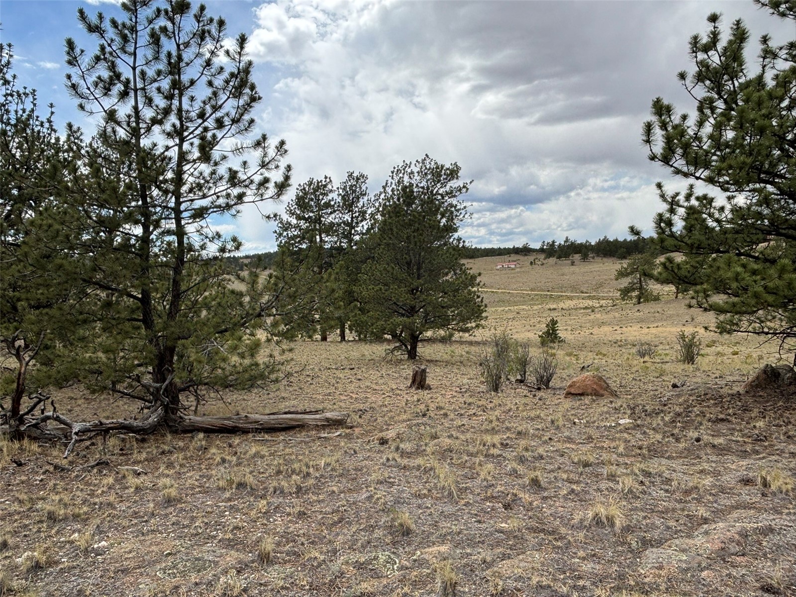 99 Arapaho Court Hartsel CO 80449
