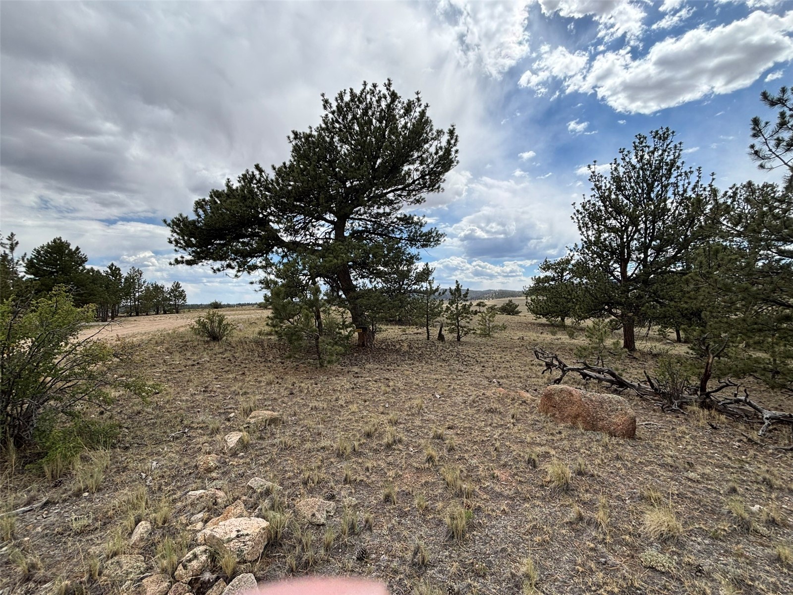 99 Arapaho Court Hartsel CO 80449