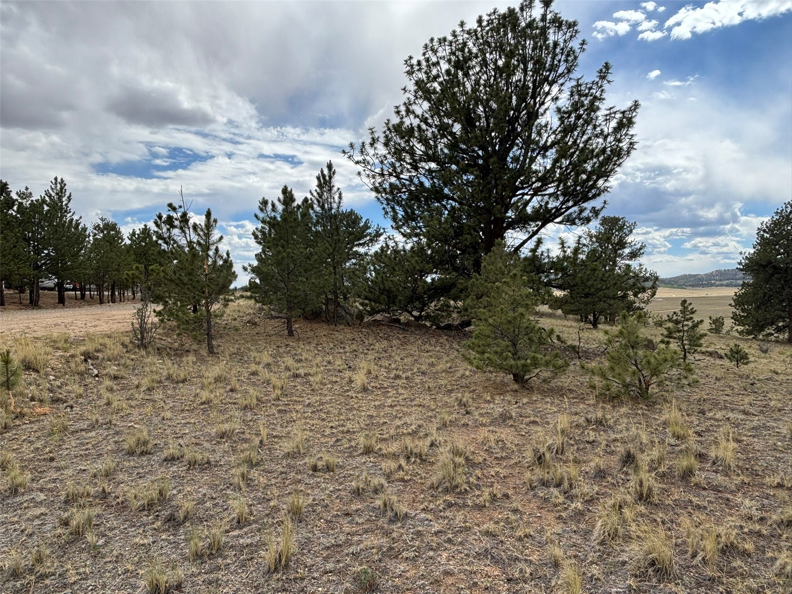 99 Arapaho Court Hartsel CO 80449