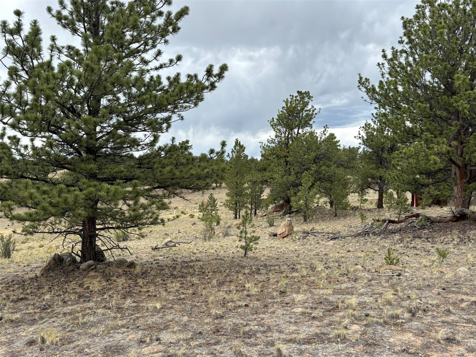 99 Arapaho Court Hartsel CO 80449
