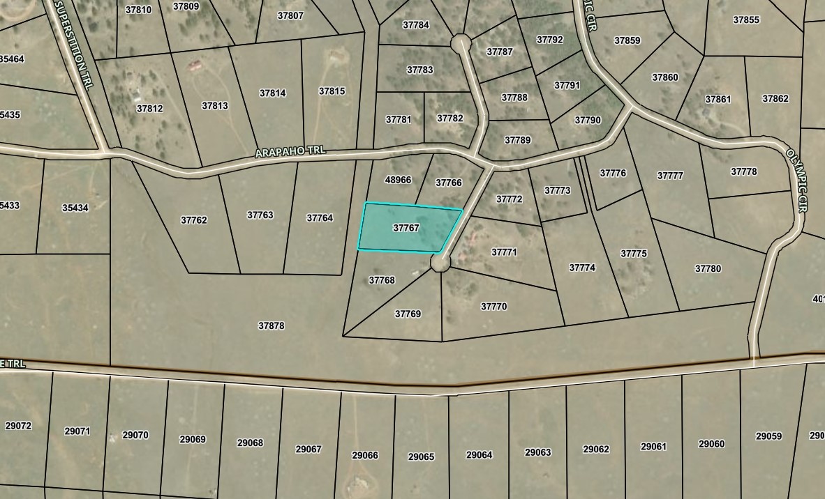 99 Arapaho Court Hartsel CO 80449