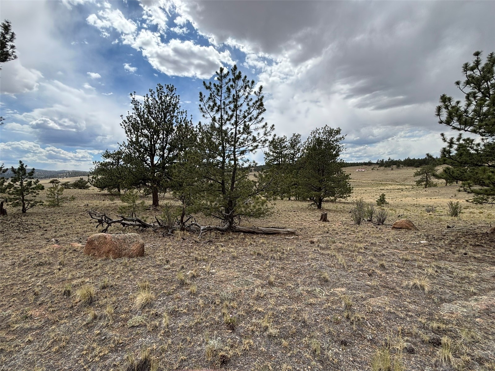 99 Arapaho Court Hartsel CO 80449