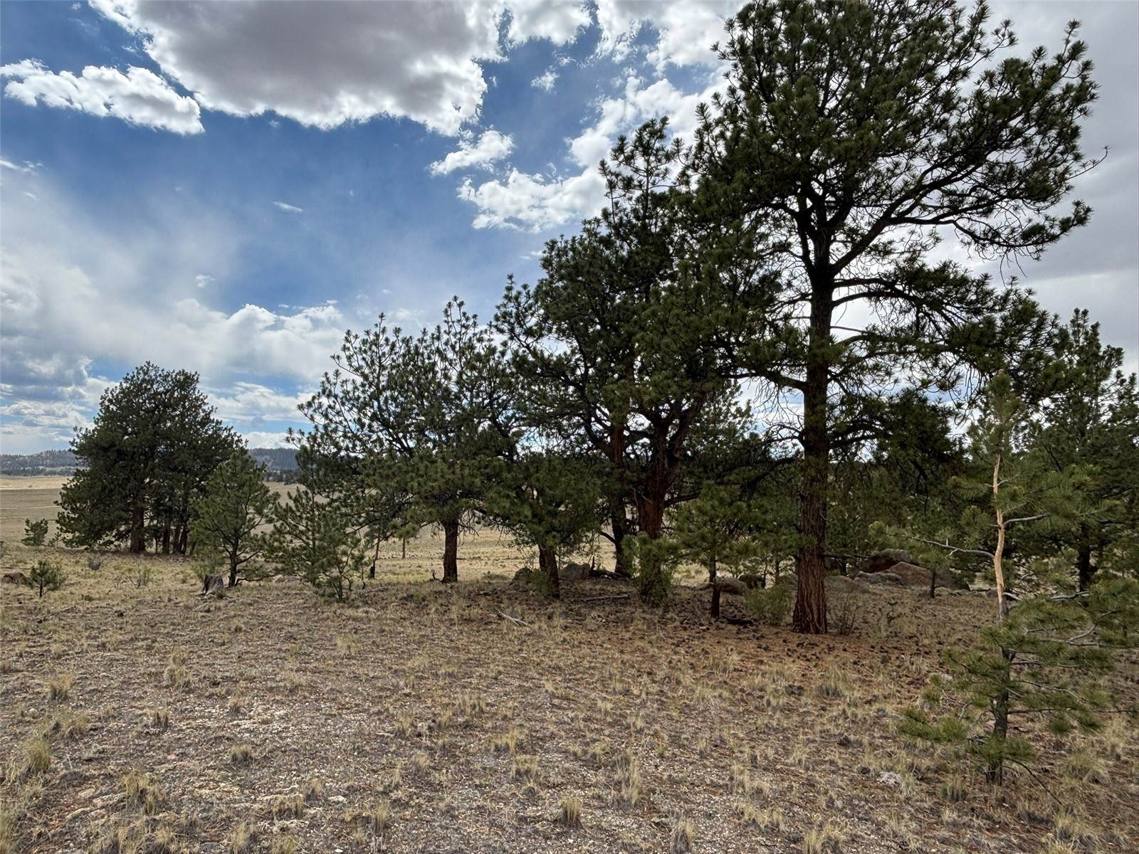 99 Arapaho Court Hartsel CO 80449