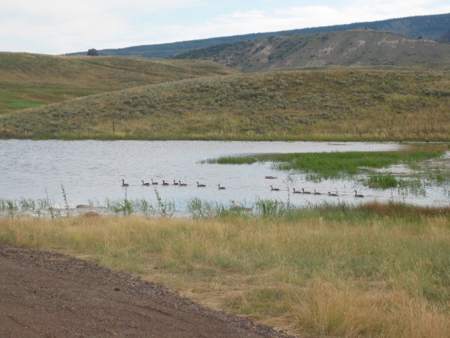 28255 County Road 7c Yampa CO 80479