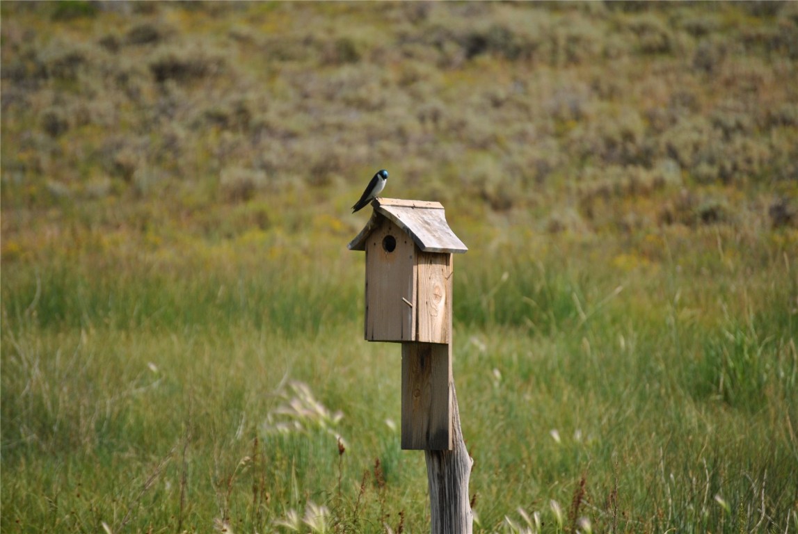 28255 County Road 7c Yampa CO 80479
