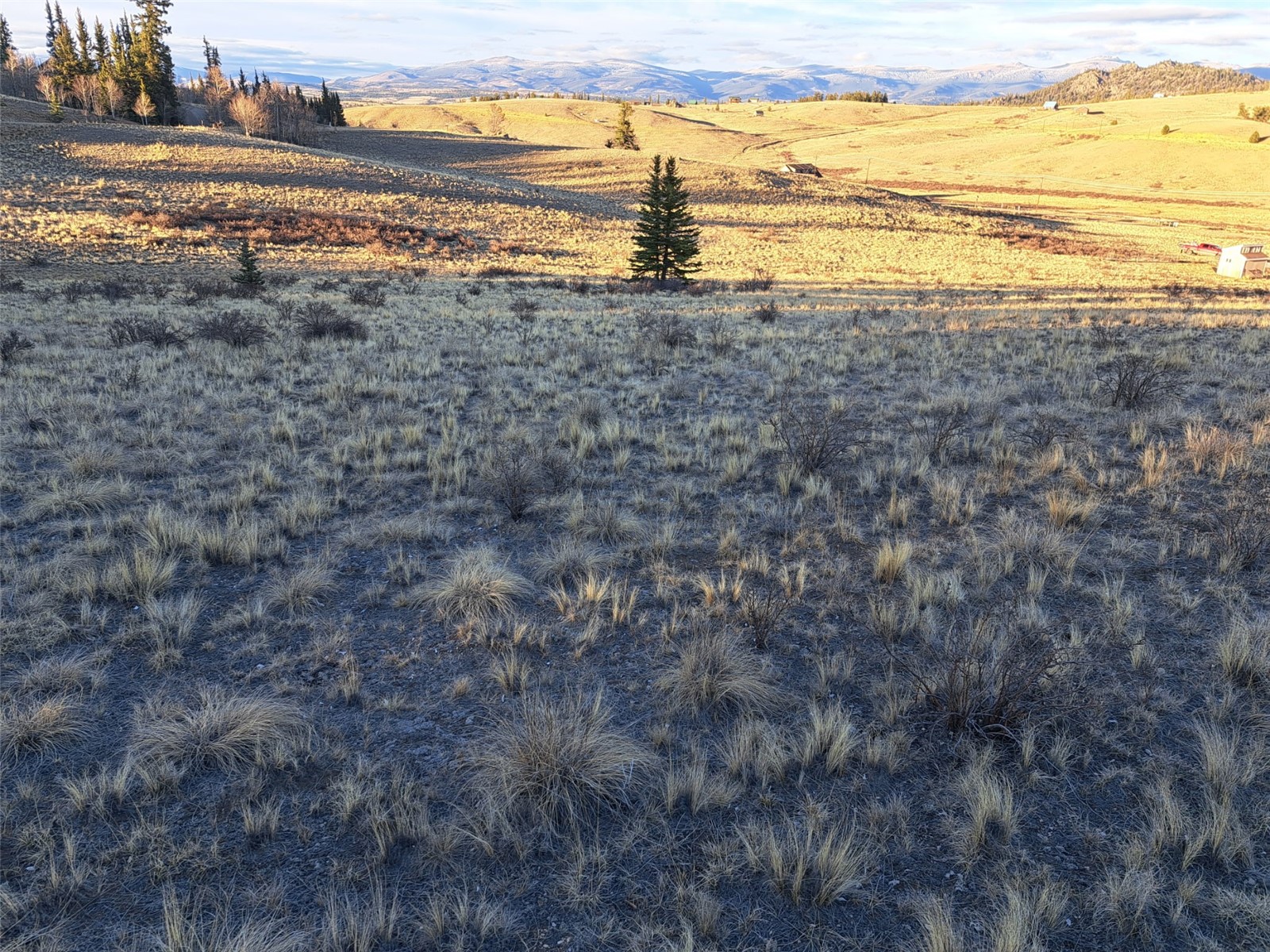 513 War Lane Como CO 80432