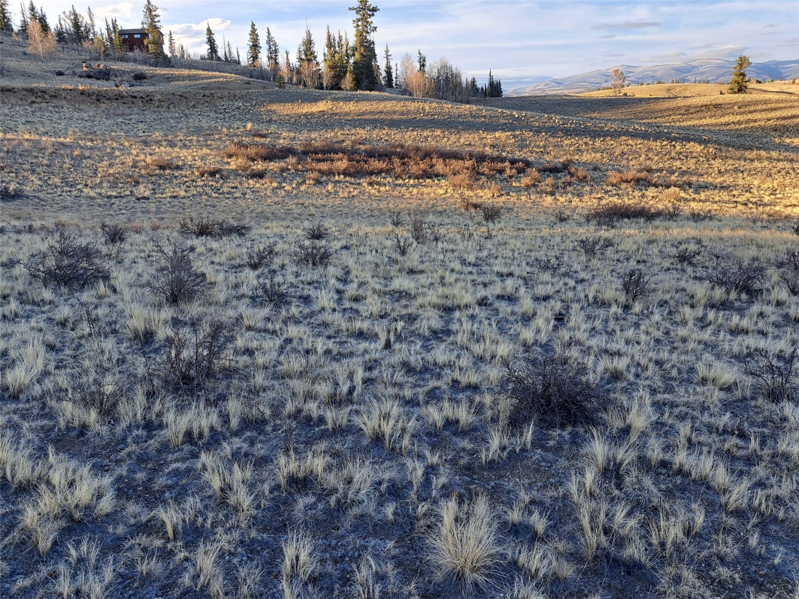 513 War Lane Como CO 80432