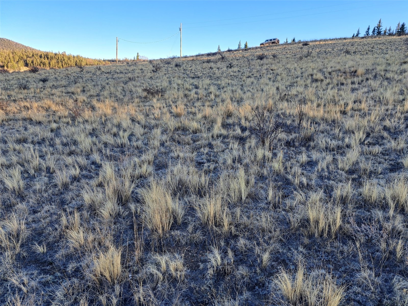 513 War Lane Como CO 80432