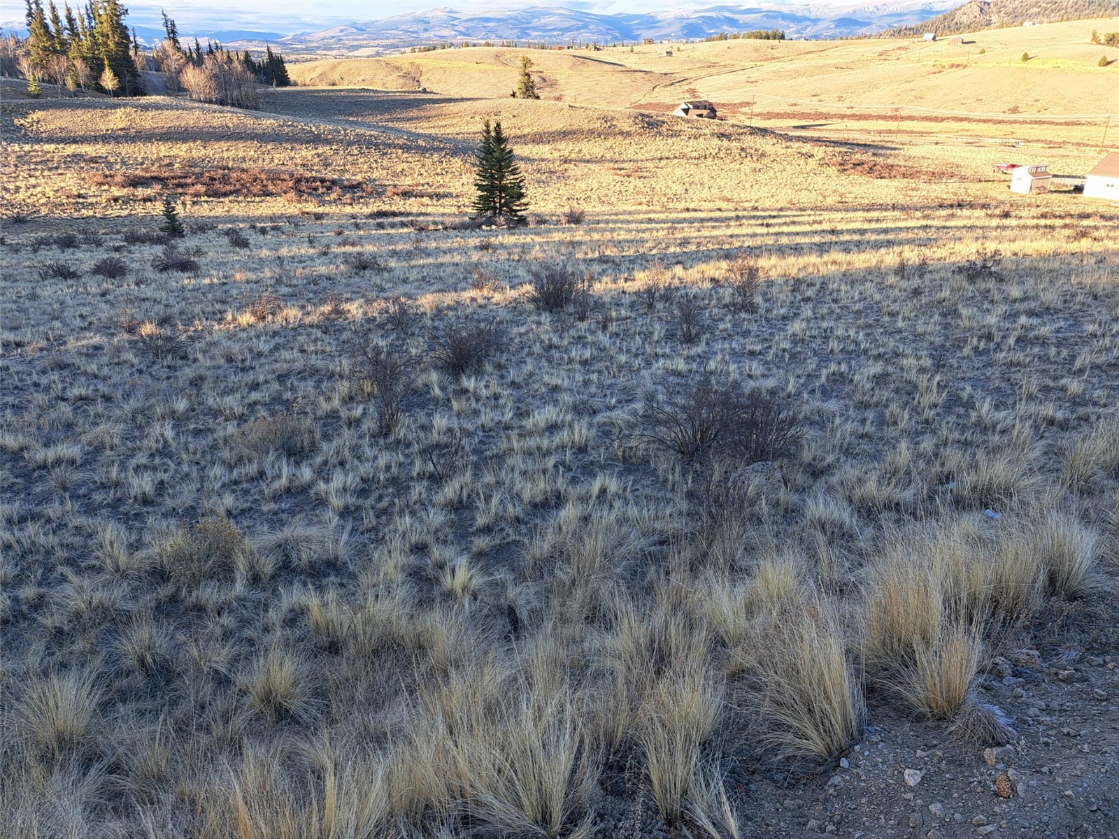 513 War Lane Como CO 80432