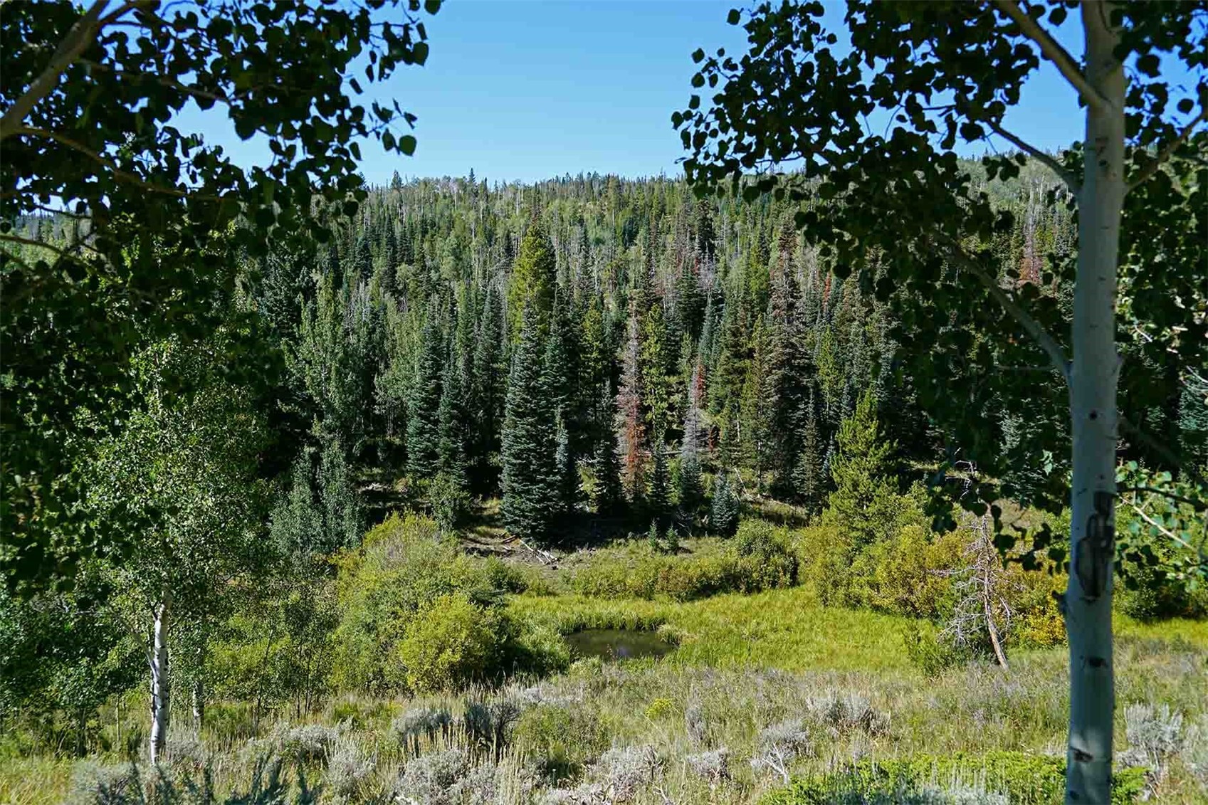1300 County Road 1450 Kremmling CO 80459