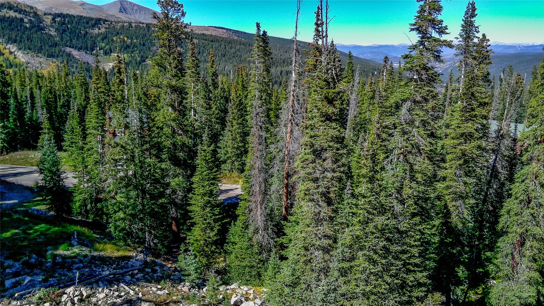501 Kimmes Lane Breckenridge CO 80424