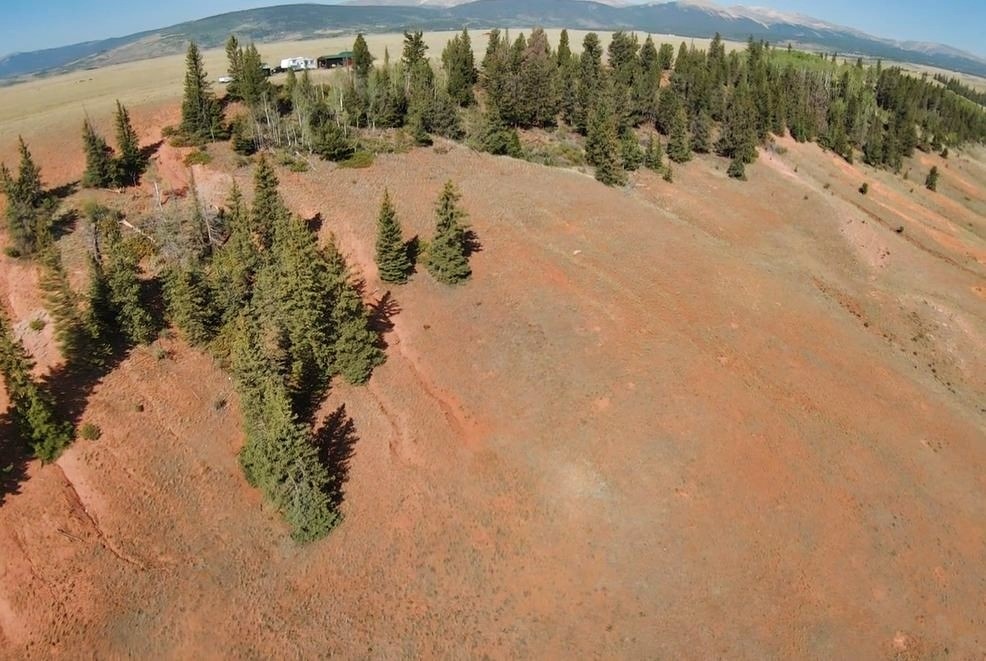4335 Meier Ridge Trail Fairplay CO 80440