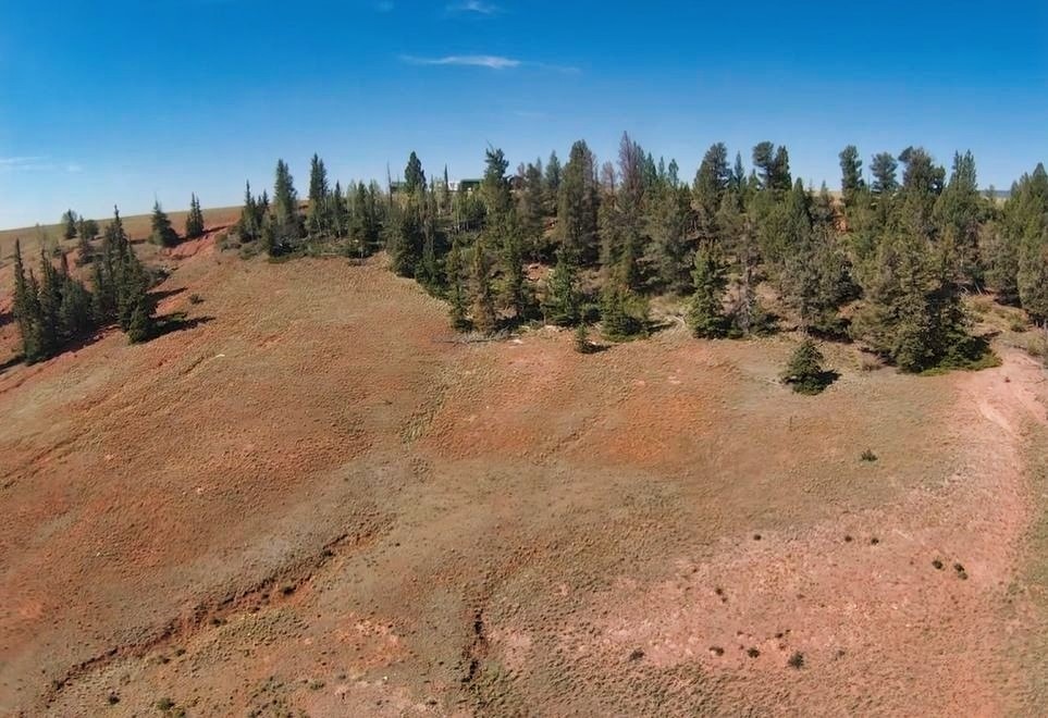 4335 Meier Ridge Trail Fairplay CO 80440