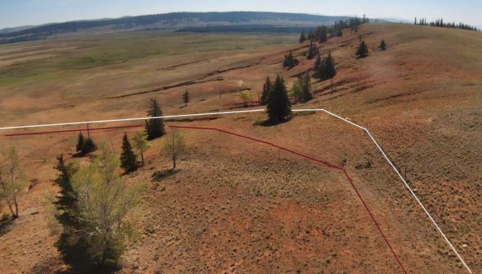 4335 Meier Ridge Trail Fairplay CO 80440