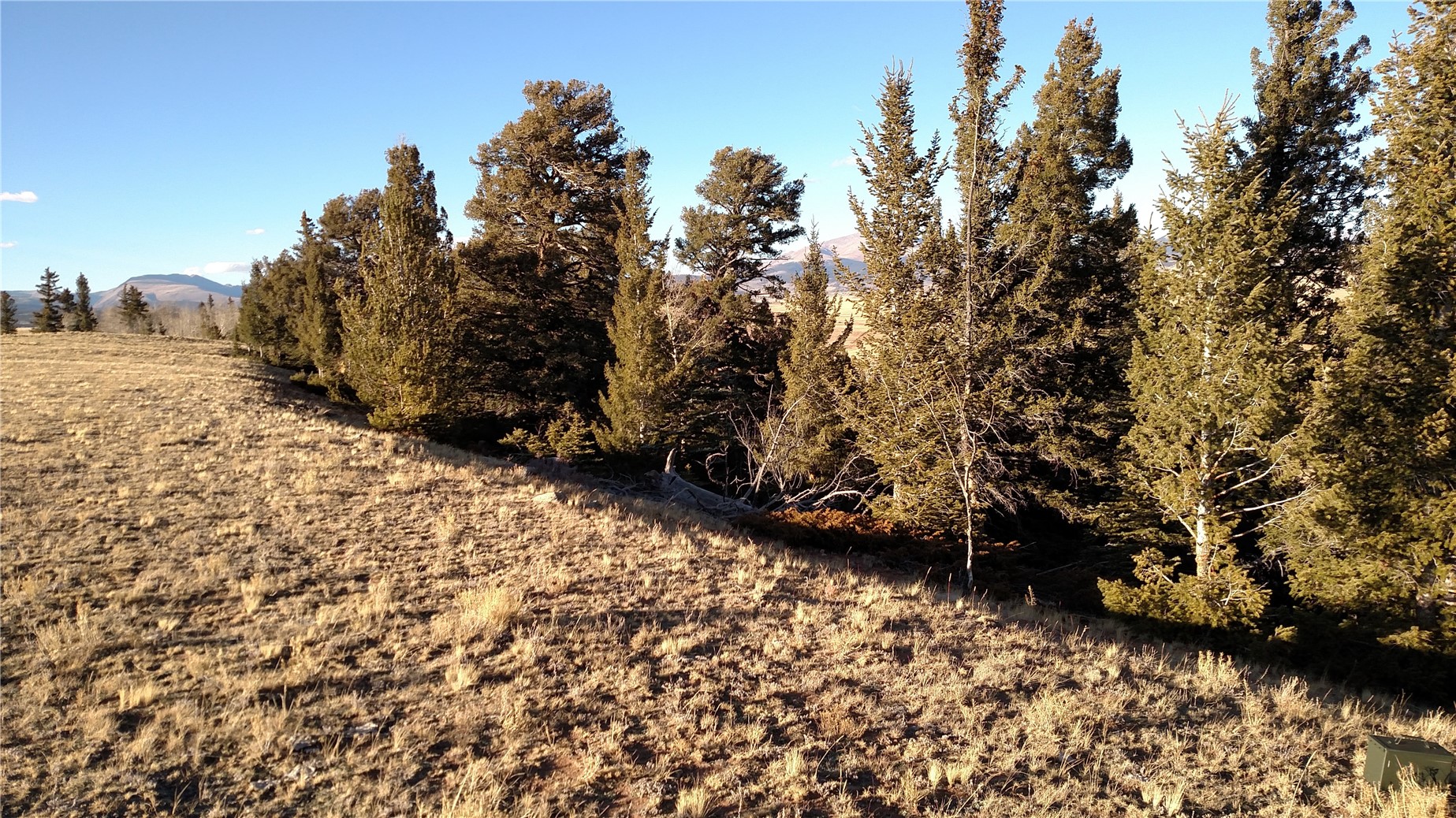 4335 Meier Ridge Trail Fairplay CO 80440